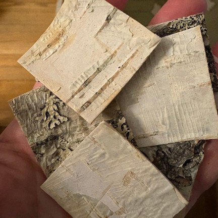 square pieces of Swedish birch bark